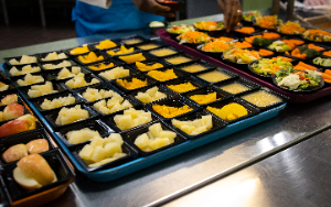 food trays